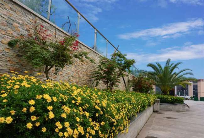 四川城市技師學(xué)院是個什么學(xué)校